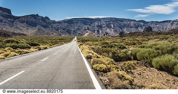 Straße durch Vulkanlandschaft  mit Sträuchern bewachsene Hochebene Llano de Ucanca  Parque Nacional de las Cañadas del Teide  Teide-Nationalpark  UNESCO Weltnaturerbe  Teneriffa  Kanarische Inseln  Spanien
