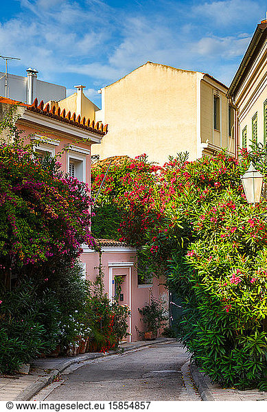Straße mit vielen Blumen im Stadtteil Plaka in Athen  Griechenland.