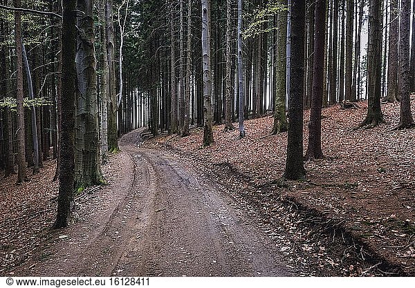 Straße vom Cab Mountain in der Nähe des Dorfes Valasska Bystrice in der Region Mährische Walachei in den Beskiden  Tschechische Republik.