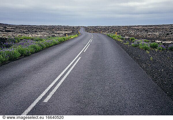 Straße 425 zwischen moosbewachsenen Lavafeldern auf der Reykjanesskagi - Südliche Halbinsel im Südwesten Islands.
