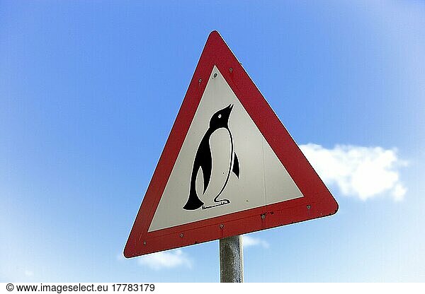 Straßenschild Vorsicht  Pinguine  Simons Town  Boulder  Südafrika