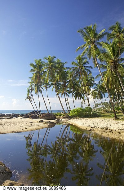 Strand  Ansicht  Natürlichkeit  Asien  Paradies  Sri Lanka