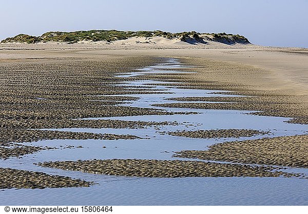 Strand auf der Insel Amrum  Nordsee  Nordfriesische Insel  Schleswig-Holstein  Deutschland  Europa