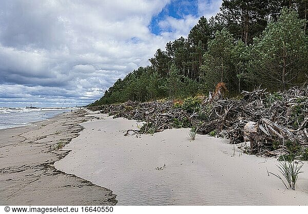 Strand der Frischen Nehrung zwischen den Dörfern Katy Rybackie und Skowronki  Danziger Bucht an der Ostsee  Polen.