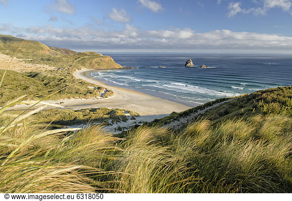 Strand der Sandfly Bay  Halbinsel Otago Peninsula  Südinsel  Neuseeland  Ozeanien