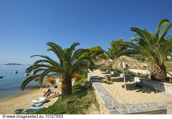 Strand des Zeltplatzes Camp Mitari  Sithonia  Chalkidiki  Griechenland  Europa