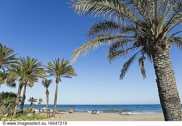 Strand El Bombo  La Cala de Mijas  Costa del Sol  Provinz Malaga  Andalusien  Südspanien.