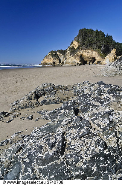 Strand Felsen Hug Point State Park Oregon USA Nordamerika