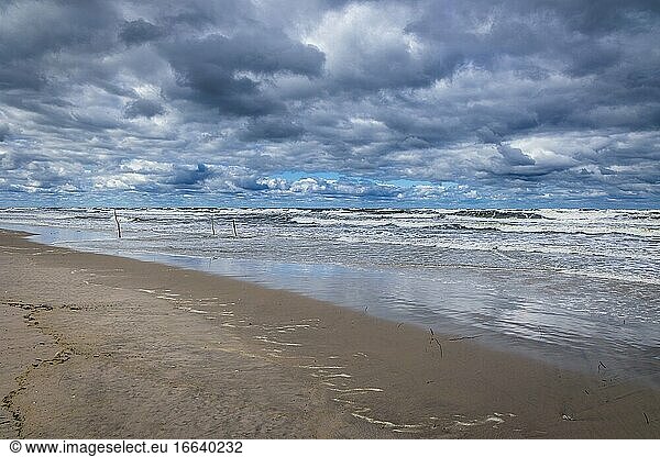 Strand in Katy Rybackie auf der Frischen Nehrung über der Danziger Bucht in der Ostsee  Polen.