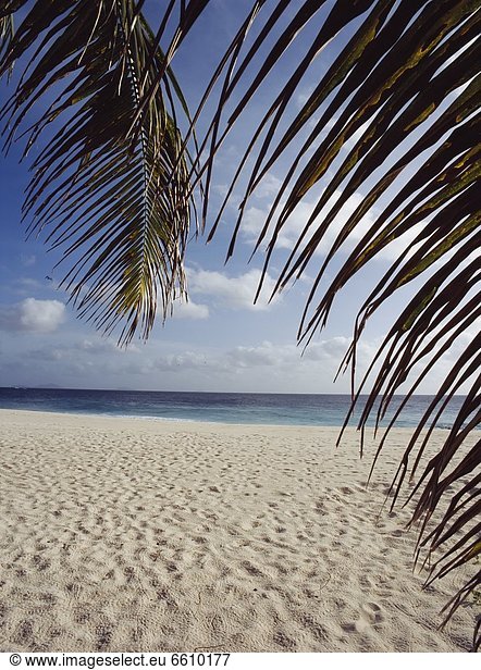 Strand Insel