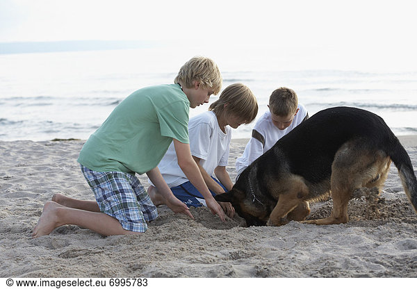 Strand  Junge - Person  Hund  Sand  graben  gräbt  grabend