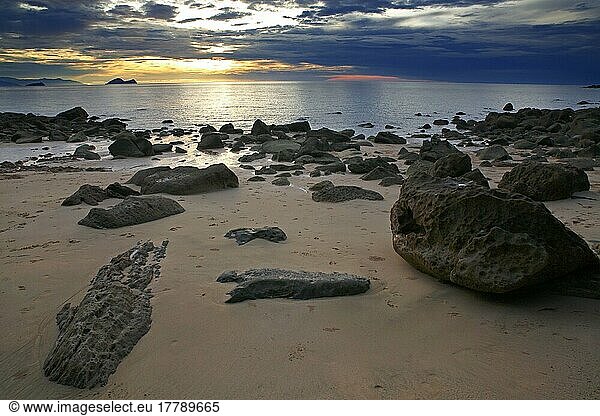 Strand mit Felsen und Regenwald  Permai Rainforest  Satubong  Südchinesisches Meer  Sarawak  Borneo  Malaysia  Asien