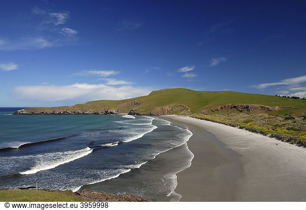 Strand  Otago Halbinsel  Neuseeland