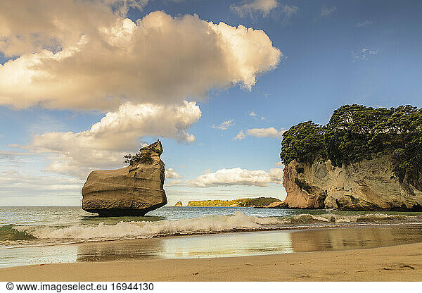 Strand von Mare's Leg Cove,  Cathedral Cove Marine Reserve,  Coromandel Halbinsel,  Waikato,  Nordinsel,  Neuseeland,  Pazifik