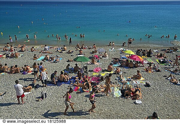 Strand von Nizza  Cote d'Azur  Alpes-Maritimes  Provence-Alpes-Cote d'Azur  Frankreich  Europa