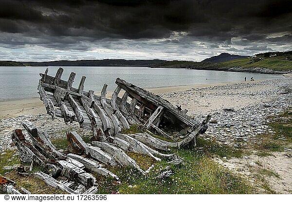Strand  Wrack  Talmine  Kyle of Tong  Nordküste  Highlands  Hochland  Schottland  Großbritannien  Europa