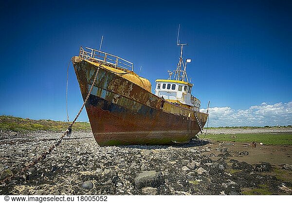 Stranded and derelict fishing trawler  Roa Island  Isles of Furness  Barrow-in-Furness  Cumbria  England  United Kingdom  Europe