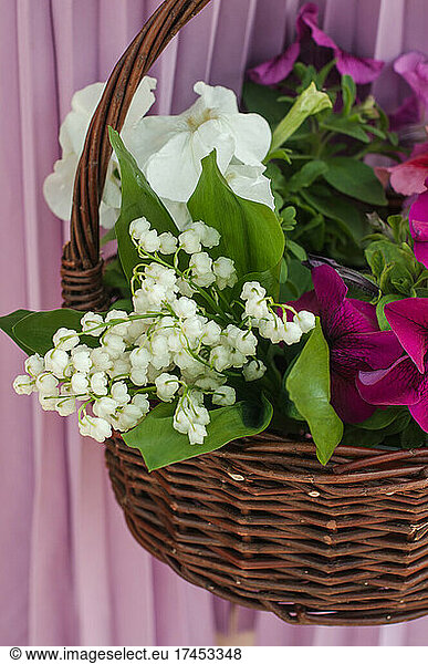 Straw basket with lilies of the valley and petunias.