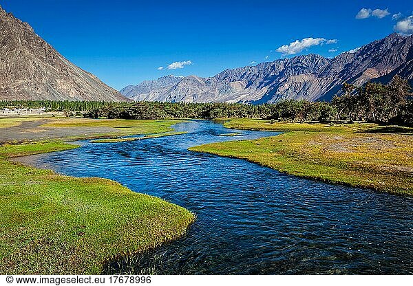 Stream in Nubra valley in Hunder  Nubra valley  Ladakh  India  Asia