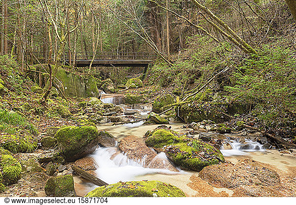 Stream through forest on Nakasendo Way  Magome  Gifu Prefecture  Honshu  Japan  Asia