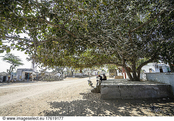 Street scene in a rural village in India,  people sitting under the shade of a large tree; India