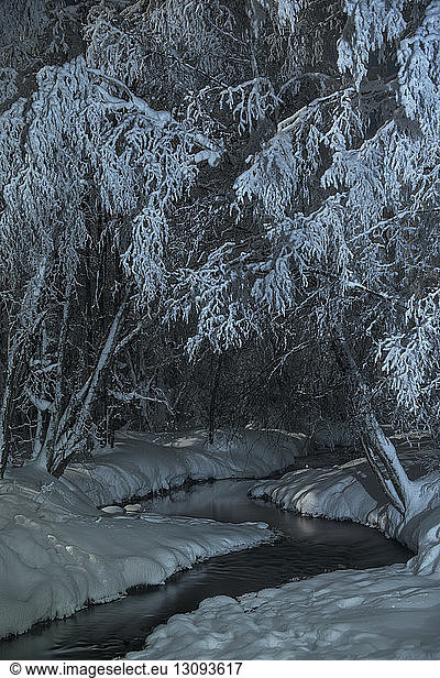 Strom durch schneebedeckte Bäume
