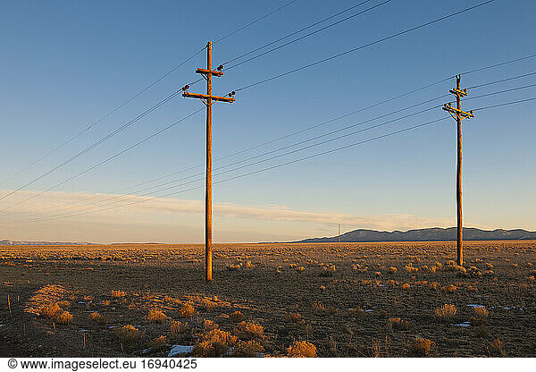 Stromleitungen in Wüstenlandschaft.