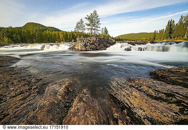 Stromschnelle im Fluss Namsen  Nadelwald  Namsskogan  Trøndelag  Norwegen  Europa