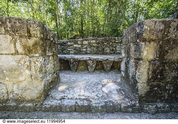 Structure at Mayan city of Calakmul  Calakmul Biosphere Reserve  Campeche  Mexico.