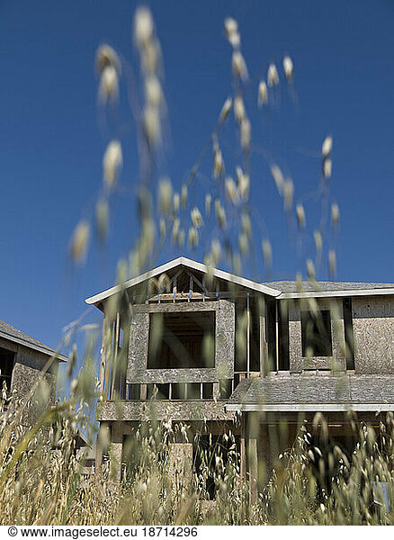Structures in a failed and abandoned housing development
