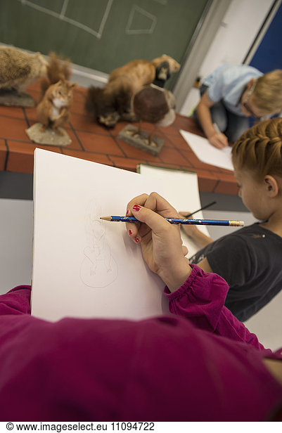 Students making animals sketches on their sketch pads in biology class  Fürstenfeldbruck  Bavaria  Germany