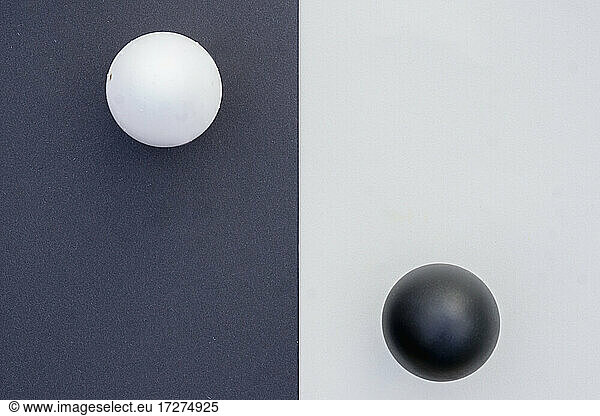 Studio shot of black and white eggs on contrasting backgrounds