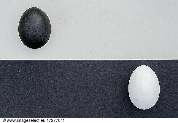 Studio shot of black and white eggs on contrasting backgrounds