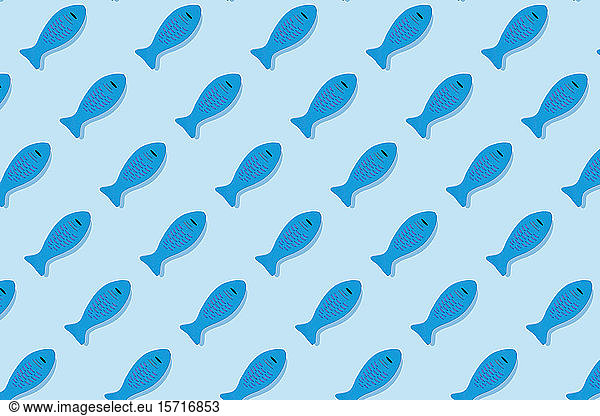 Studio shot of blue wooden toy fish