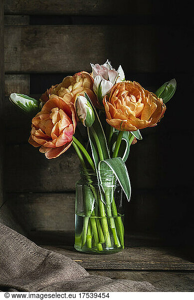 Studio shot of bouquet of Copper Image and China Town tulips