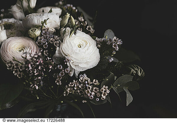 Studio shot of bouquet of white roses  buttercups (Ranunculus) and Cornish heath (Erica vagans)
