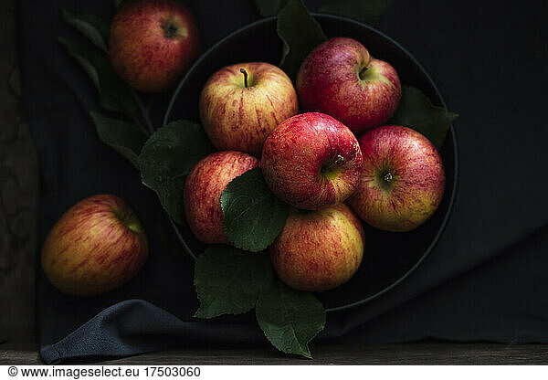 Studio shot of bowl of fresh Gala apples