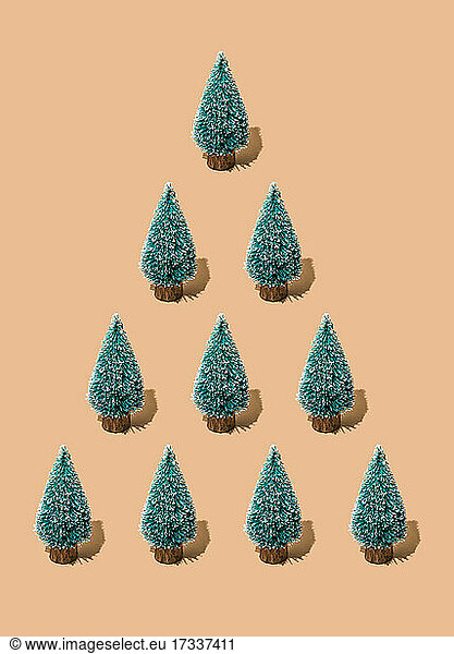 Studio shot of coniferous trees arranged into triangle shape