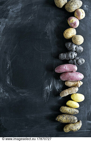 Studio shot of different varieties of potatoes flat laid against black background