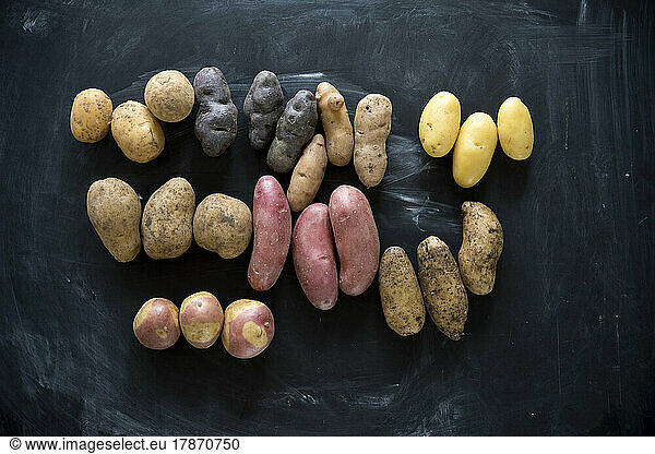 Studio shot of different varieties of potatoes flat laid against black background
