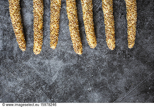 Studio shot of Italian grissini breadsticks with sesame seeds