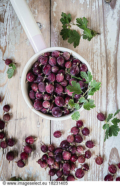 Studio shot of pan of fresh gooseberries