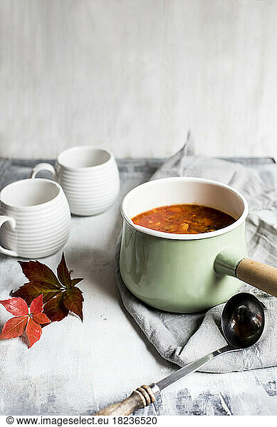 Studio shot of pan of Mexican style chicken soup