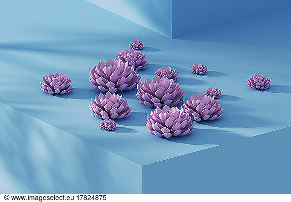 Studio shot of pink colored succulent plants lying on top of blue ledge