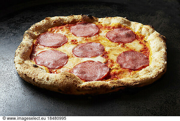 Studio shot of ready-to-eat salami pizza