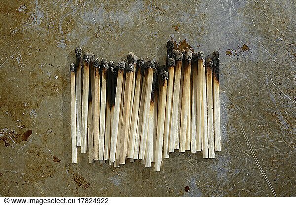 Studio shot of row of burned matches