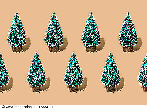 Studio shot of rows of coniferous trees standing against beige background