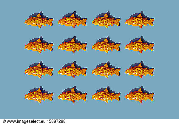 Studio shot of rows of yellow plastic fish