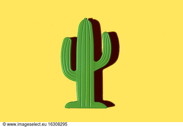 Studio shot of small plastic cactus