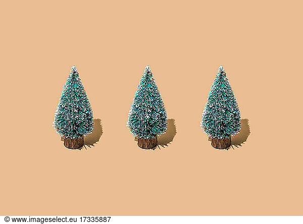 Studio shot of three coniferous trees standing against beige background